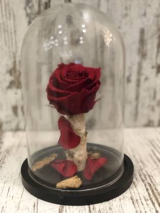 Forever Roses Μπορντό-Μεσαίο