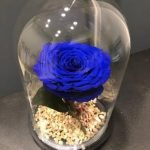 Forever Roses Μπλε-Μεσαίο