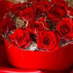 Forever Roses Κουτί 12 Τριαντάφυλλα
