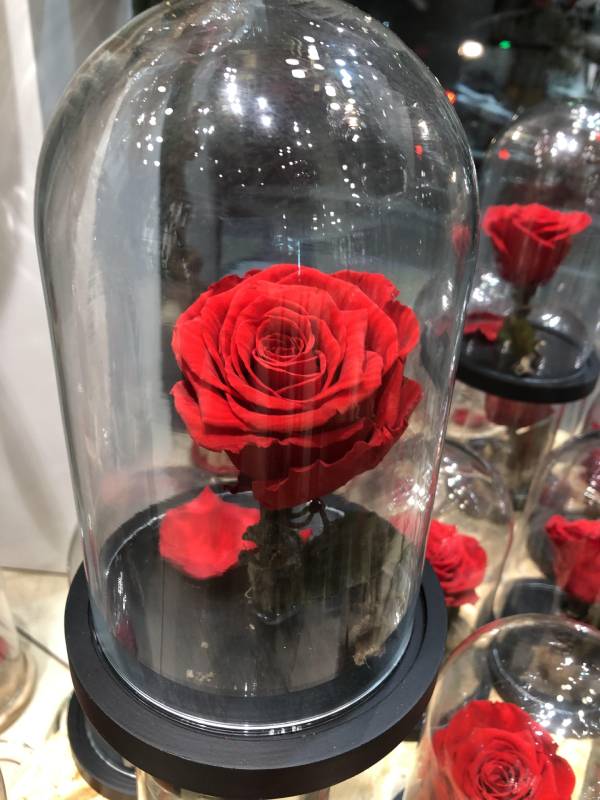 Forever Roses Τριαντάφυλλο που Ζει για Πάντα Γυάλινο