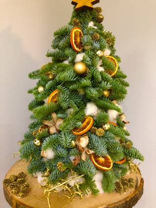 Χριστουγεννιάτικο Δέντρο Φυσικό