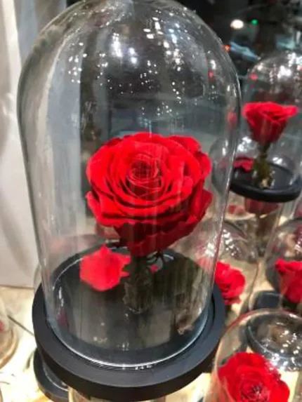 Forever Roses Κόκκινο Μεσαίο