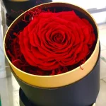 Forever Roses Μικρό Κόκκινο