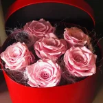 Forever Roses Τριαντάφυλλα Ροζ