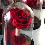 Forever Roses Τριαντάφυλλο Γυάλινο