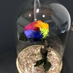 Forever Roses Τριαντάφυλλο Πολύχρωμο
