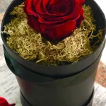 Forever Roses Τριαντάφυλλο που Ζει για Πάντα – Μικρό