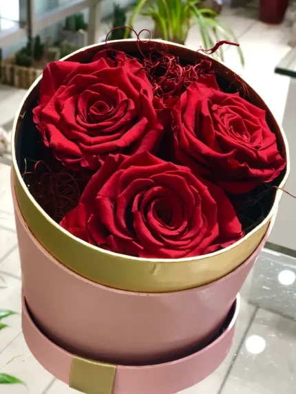 Forever Roses – Ροζ Κουτί 3τμχ