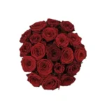 Μπουκέτο Τριαντάφυλλα 20 Τεμάχια Roses Naomi Special