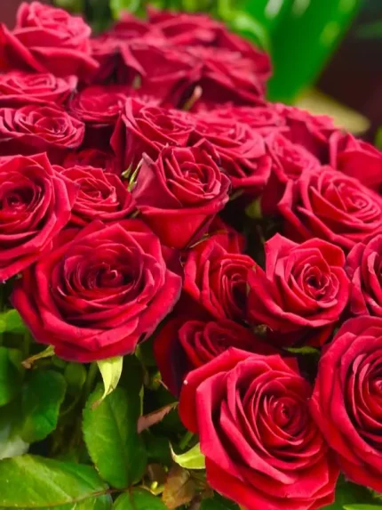 Τριαντάφυλλα Κόκκινα Νaomi